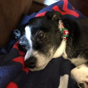 Meet your Posher, Garrett